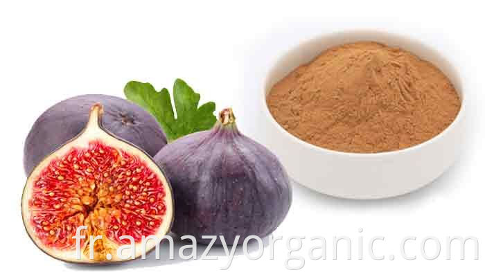 Pure Fig Juice Powder